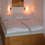 Apartment Gemuetliche Mit Blick Auf Donau By Interhome *