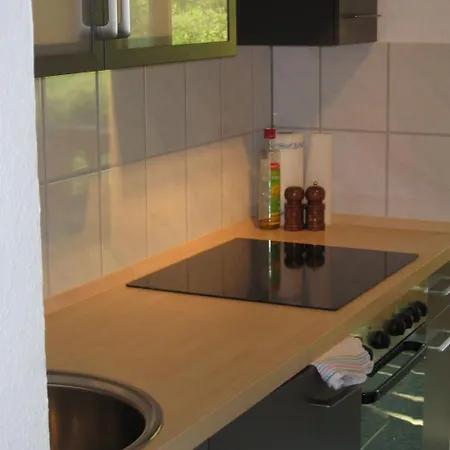 Appartement Gemuetliche Mit Blick Auf Donau By Interhome Obernzell